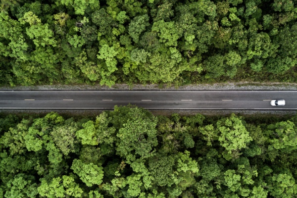 https://www.emargence.fr/wp-content/uploads/2024/04/conducteurforet.jpg
