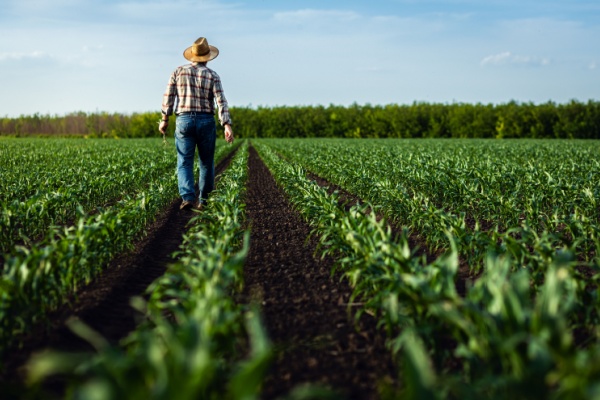 https://www.emargence.fr/wp-content/uploads/2024/10/Shutterstock_aidesagriculture.jpg