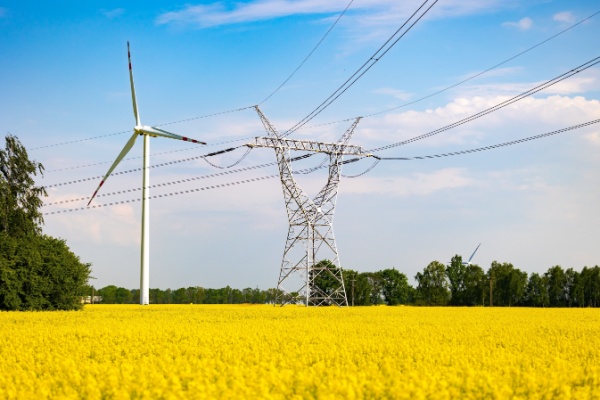 https://www.emargence.fr/wp-content/uploads/2025/01/Shutterstock_ifer-1.jpg
