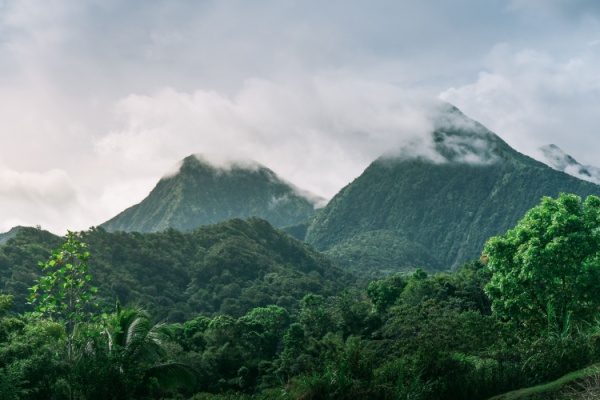 https://www.emargence.fr/wp-content/uploads/2025/01/Shutterstock_montagnesenmartinique.jpg