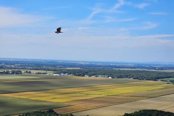 https://www.emargence.fr/wp-content/uploads/2025/09/Shutterstock_indicefermagesterres-3.jpg
