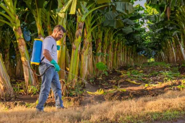 https://www.emargence.fr/wp-content/uploads/2025/10/Shutterstock_chlordeconesolutions.jpg