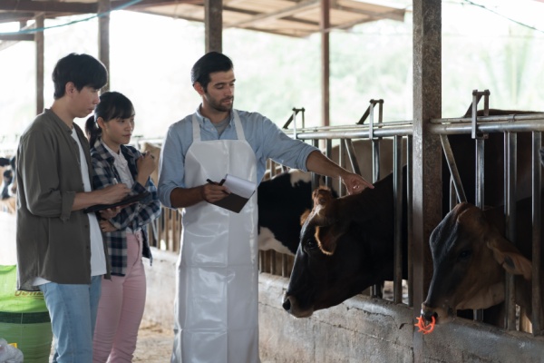 https://www.emargence.fr/wp-content/uploads/2025/12/Shutterstock_aideformationagricole.jpg