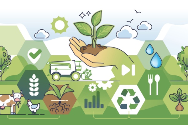 https://www.emargence.fr/wp-content/uploads/2026/01/Shutterstock_LFSSagriculture-1.jpg