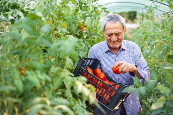 https://www.emargence.fr/wp-content/uploads/2026/01/Shutterstock_pensionretraitesalariesagri.jpg