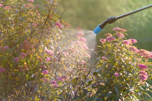 https://www.emargence.fr/wp-content/uploads/2026/01/Shutterstock_phytosanitaire.jpg