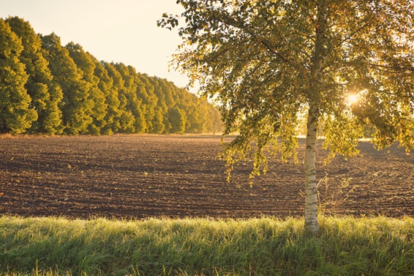https://www.emargence.fr/wp-content/uploads/2026/01/Shutterstock_terresagrioutremerprix-2.jpg