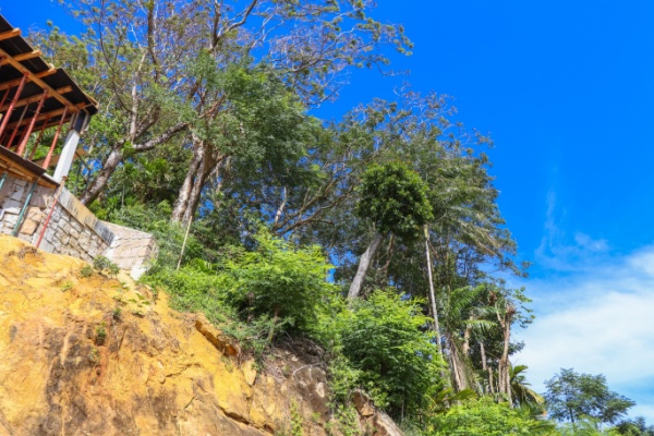 https://www.emargence.fr/wp-content/uploads/2026/02/Shutterstock_reconstructionmayotte.jpg