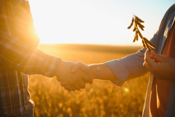 https://www.emargence.fr/wp-content/uploads/2026/03/Shutterstock_actufinmarsagriculture.jpg