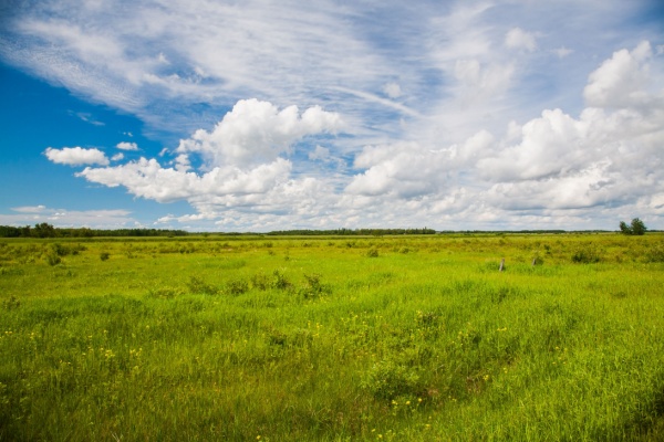 https://www.emargence.fr/wp-content/uploads/2026/03/Shutterstock_prairiesvaleursvenales-2.jpg