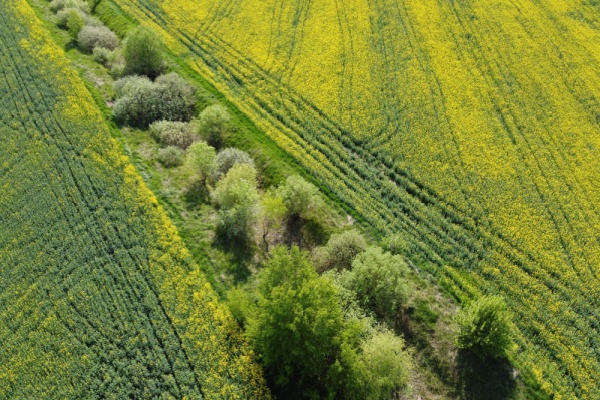 https://www.emargence.fr/wp-content/uploads/2026/03/Shutterstock_terresagricolesvaleursvenaleslouees-2.jpg