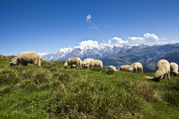 https://www.emargence.fr/wp-content/uploads/2026/04/Shutterstock_calendrieraideagri.jpg