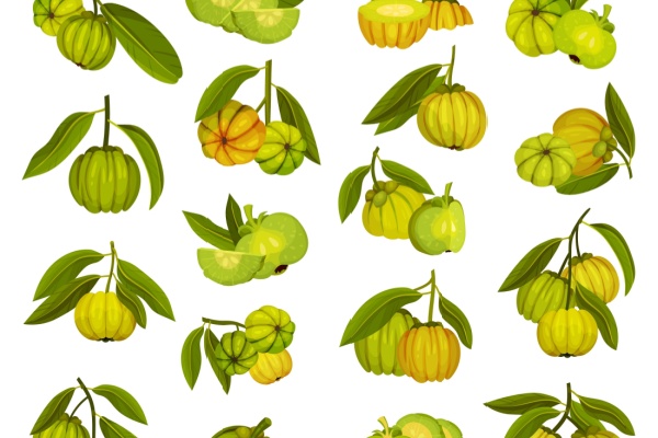 https://www.emargence.fr/wp-content/uploads/2026/04/Shutterstock_renouvellementgarcinia.jpg