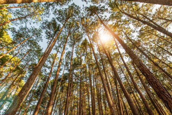 https://www.emargence.fr/wp-content/uploads/2026/04/Shutterstock_tauxreduittvaagriculture.jpg