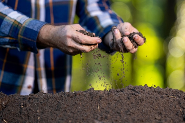 https://www.emargence.fr/wp-content/uploads/2026/05/Shutterstock_fertilisantssolsagri.jpg