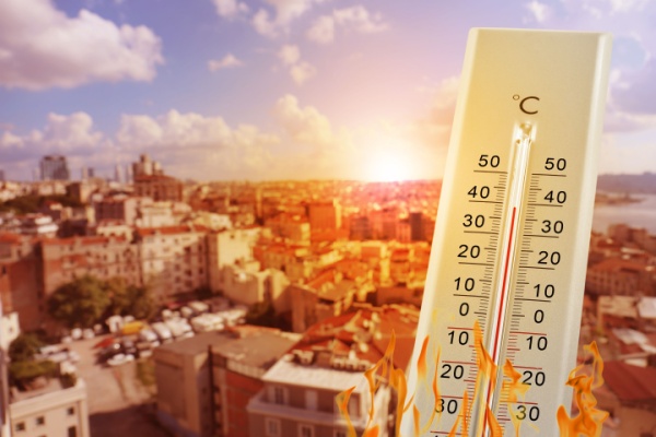 https://www.emargence.fr/wp-content/uploads/2026/06/Shutterstock_caniculeurssaf.jpg