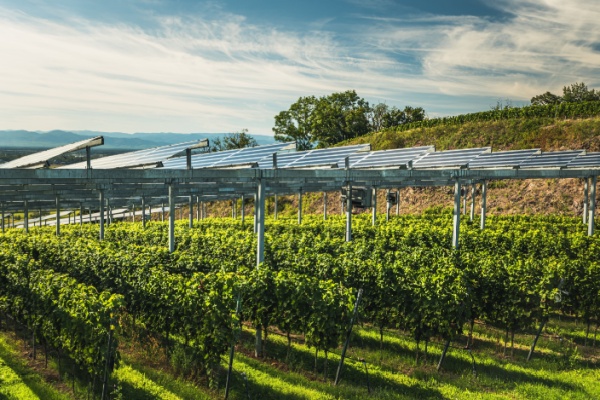 https://www.emargence.fr/wp-content/uploads/2026/06/Shutterstock_loiindustrieinnovation.jpg
