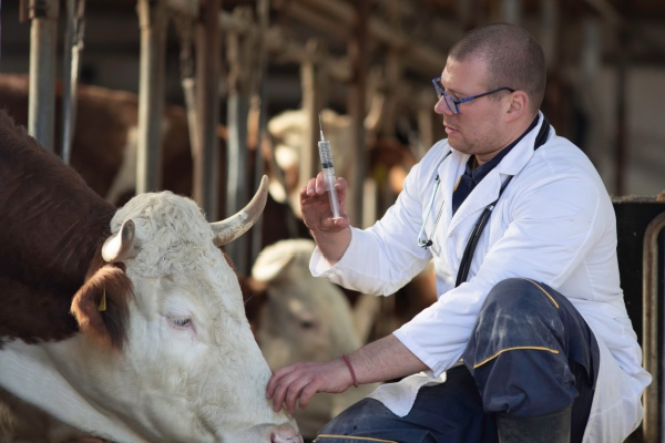 https://www.emargence.fr/wp-content/uploads/2026/06/Shutterstock_maladiesagricoles.jpg