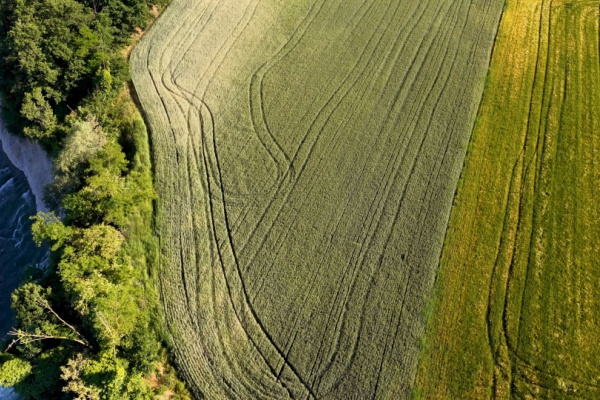 https://www.emargence.fr/wp-content/uploads/2026/07/Shutterstock_BCAE.jpg