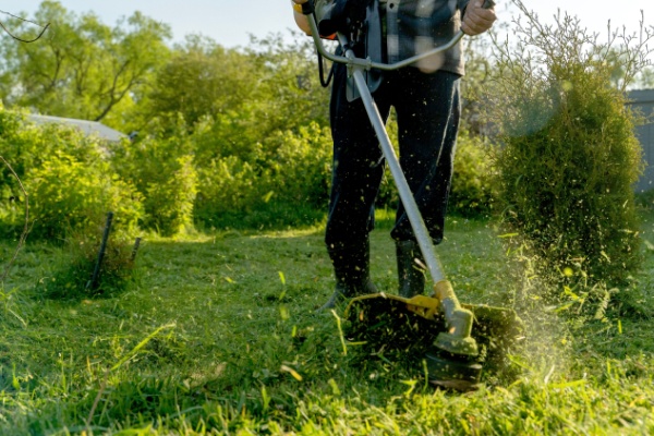 https://www.emargence.fr/wp-content/uploads/2026/07/Shutterstock_servicesmenagesjardinier-1.jpg