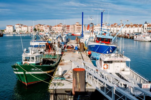 https://www.emargence.fr/wp-content/uploads/2026/07/shutterstock_navireportpeche.jpg
