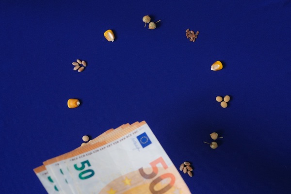 https://www.emargence.fr/wp-content/uploads/2026/09/shutterstock_conditionnalitePAC.jpg