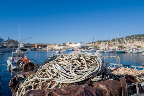 https://www.emargence.fr/wp-content/uploads/2026/09/shutterstock_marinsmediterrannee.jpg