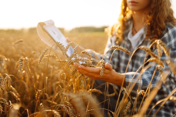 https://www.emargence.fr/wp-content/uploads/2026/09/shutterstock_nonsalariesagricoles.jpg