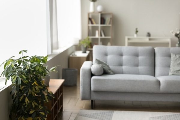 https://www.emargence.fr/wp-content/uploads/2026/09/shutterstock_seuillocationmeuble.jpg