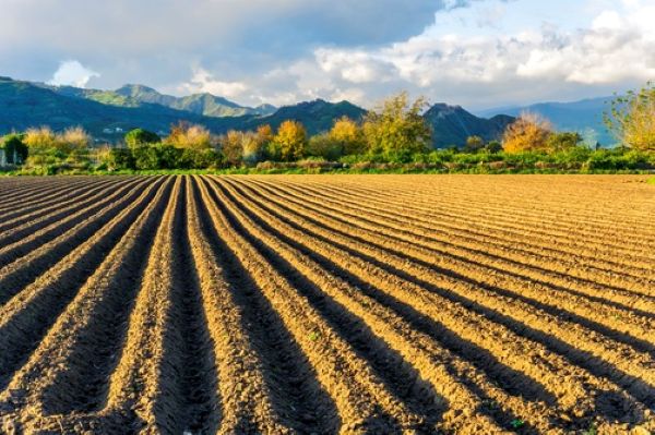 https://www.emargence.fr/wp-content/uploads/2026/09/shutterstock_terresagri-1.jpg