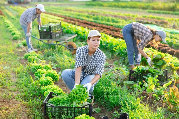 https://www.emargence.fr/wp-content/uploads/2026/09/shutterstock_travailleursagricoles.jpg