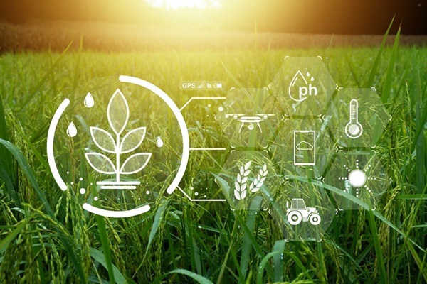 https://www.emargence.fr/wp-content/uploads/2026/10/shutterstock_BCAE.jpg