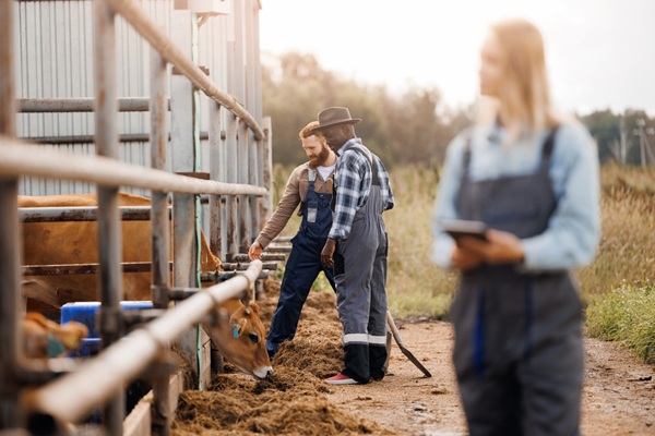 https://www.emargence.fr/wp-content/uploads/2026/10/shutterstock_maladieproagri.jpg