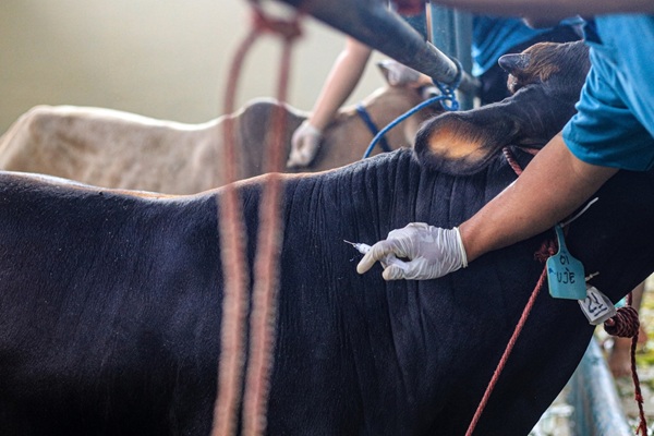 https://www.emargence.fr/wp-content/uploads/2026/10/shutterstock_maladiesagricoles.jpg